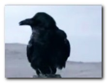 Tour Of The Universe